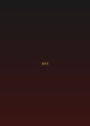 四虎tv - 红尘客栈海报