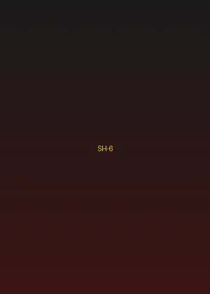 四虎tv - 极速追击海报